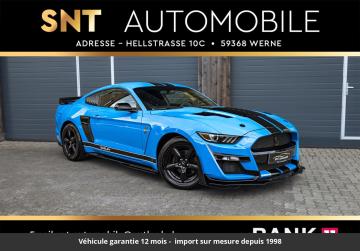 2017 Ford Mustang Pack Shelby